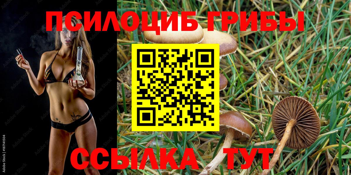 Галлюциногенные грибы Psilocybine cubensis Рязань