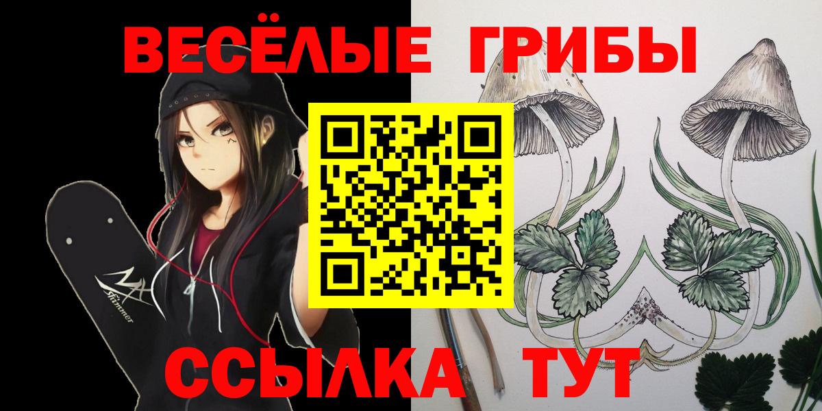 Рязань  Псилоцибиновые грибы Psilocybine cubensis  Вход с VPN  Псилоцибиновые грибы мухоморы 